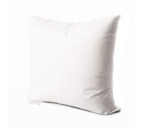 EDOW Luxury Throw Pillow Insert, Soft Fluffy Down Alternative Polyester Square Form Decorative Pillow Insert,Sham Stuffer,Cotton Cover for Sofa, Couch,Bed and Car. (White, 18x18)