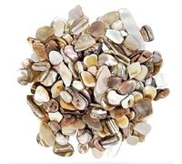EDSRDUS Natural Crushed Shells Chips Irregular Mother of Pearl Seashell Fragments Sea Shell Pieces for DIY Crafts, Vase Filler, Decorating, Home Décor