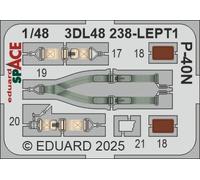 Eduard ED3DL48238 1:48 Curtiss P-40N Warhawk SPACE set