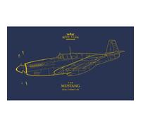 Eduard P-51B Mustang Royal Class 14 Options & RAF Option 1:48 Model Kit R0019