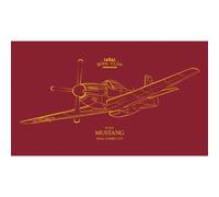 Eduard 1/72 Royal Class P-51D Mustang Dual Combo - R0021