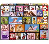 University Games Educa Borras 1000 Piece Jigsaw Puzzle