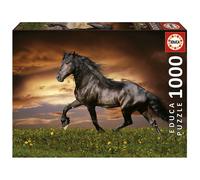 Educa - Puzzle 1000 Teile für Erwachsene Friese in der Dämmerung, 1000 Teile P