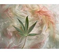 Education Intellectual Toy Puzzle Cannabis and Marijuana Wooden Puzzle Art DIY Toy Gift Fun Challenging Educational Gift Art Home Decor_1000pcs