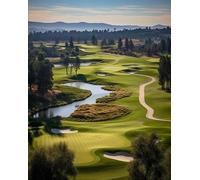 Education Intellectual Toy Puzzle Golf Course Wooden Puzzle Art DIY Toy Gift Fun Challenging Educational Gift Art Home Decor_1000pcs