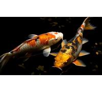 Education Intellectual Toy Puzzle Japanese Koi Fish Wooden Puzzle Art DIY Toy Gift Fun Challenging Educational Gift Art Home Decor_1000pcs