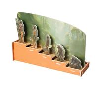 Educational About Human History, DIY Teaching Tools, Early Learning, Science Crafts for Kids