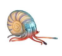 Educational Anatomical Animal Model Nautilus Model Simulation Animal Decor For Education
