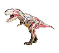 Educational Anatomical Animal Model Tyrannosaurus Anatomy Model Detachable Organs Body Parts Anatomical Animal Model