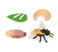Educational Animal Life Cycle Figures , Bee growth cycle model set