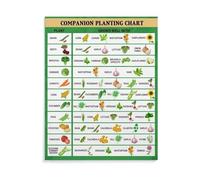 Educational Companion Planting Poster and Chart Vegetable Herb Gardening Guide Wall Art for Home Kitchen Office or Study Room(Unframed,08x12inch(20x30cm))