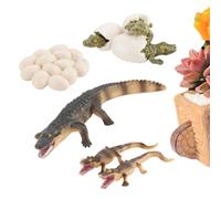 Educational Crocodile Life Cycle Figurine Set, Detailed Growth Stages Showcase from Egg to Hatchling to Mature Predator, Engaging -Inspired Learning Tool Designed for Preschoolers and Young