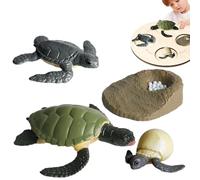 Educational Figurine Set - Life Cycle Toys | Pp Growth Models, Realistic Biology Learning Development Activity Kit, Detailed Metamorphosis Teaching Figurines For Children Study Play