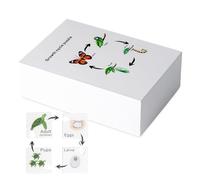 Educational Lifecycle Game - Reusable Puzzle Toy Tray Set | Preschool Science Learning Tool, Biology Model For Kids, Classroom Activities, Home School Display, Nature System Kindergarten Aid