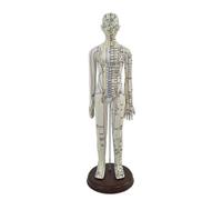 Educational Meridian Model with Base, style to 2 | Soft pin-Insertable Surface, acupressure model Model with English Points, Traditional Chinese, for Classroom, Students