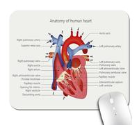 Educational Mouse Pad, Structure of The Heart Human Body Anatomy Desk Mat