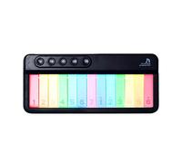 Educational Musical Toy Piano for Toddlers - Interactive Sound and Light Experience for Early Learning and Activity - Instrument Developing Skills (Black, One Size)