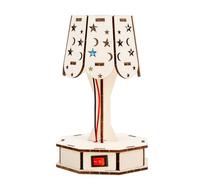 Educational Physics Experiment Set for Children Science Hand Craft Wooden Table Lamp with Multiple Lighting Modes Educational to