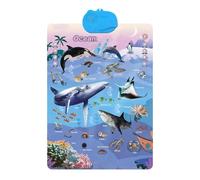 Educational Posters | Educational Toy for English Language Learning, Interactive Wall Chart | For Kindergarten, Daycare, Garden D, Room, Home, Nursery, Playroom, , Anni