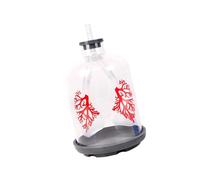 Educational Respiratory Teaching Aid with Diaphragm Motion and Lung Exchange Enhanced Learning in Biology Lessons Diaphragm Model Medicals Tool
