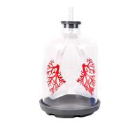 Educational Respiratory Teaching Aid with Diaphragm Motion and Lung Exchange Enhanced Learning in Biology Lessons Lung Exchange Model