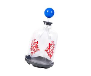 Educational Respiratory Teaching Aid with Diaphragm Motion and Lung Exchange Enhanced Learning in Biology Lessons Diaphragm Model Medicals Tool