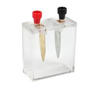 Educational Salt Water Battery Science Experiment Device for Classroom Laboratories, Experiments on Energy Generating Fruit Battery Project Demonstrated
