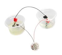 Educational Saltwater Clock Set Hands on Activity Laboratory Equipment Toy for Kids Explore Electricity Concept Educational Dolls