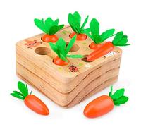 Educational Toys for 1 2 3 Year Old Baby Girls Boys, Montessori Toddler Wooden Toy Birthday Gift for 1-2-3 Year Stacking Games for 12 24 36 Month