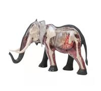 Educational Training Elephant Animal Anatomy Organs Model Internal Organs Teaching Animal Teaching