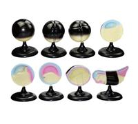 Educational Training Frog Embryo Development Anatomical Model Animal Organs Anatomical Model Animal Teaching