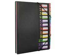 Edufun 24 Pocket Expanding File Folder, File Organizer, Letter Size Hold 240 Sheets, Plastic Rainbow Lining, Colored Filing Folder Designed for Home, Office, School (Black)