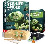 EDUMAN Amber Fossil Dig Kit, 1Genuine Amber, 6 Real Sealife Crystals & Gemstone, Rocks & Stones & Oceanlife Excavation Kits, Educational Stem Toys Digging Set, Fossil Science Kits for Kids Age 6-8-12