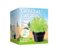 EDUMAN Crystal Cactus Growing Kit for Kids, Kids Science Experiment Kit with Crystal Powder, Grow Your Own Crystals, Educational STEM Craft Kit for Boys & Girls (Cactus-Green)