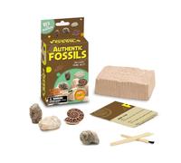 EDUMAN Mini Blind Box Fossil Digging Kit for Kids - Fossils Hunting Kit, Unearth 4 Random Fossils from 16 Types Includes Chisel & Brush, STEM Education Toy Gift for Boys Grils age 6+