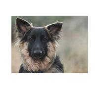 EdWal Animal german shepherd print Lightweight Bed Blankets Plush Cozy Blanket Microfiber, Ultra Soft Blanket Assorted Size