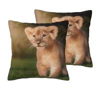 EdWal Art Lion Print Couch Throw Pillow Covers, Set Of 2, Decorative Pillow Covers, Cushion Case, For Sofa Bed