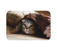 EdWal Cat Under Blanket Print Crystal Velvet Entry Rug Non-Slip Indoor Front Doormat For Porch Or Home Decor, 60x40 Cm