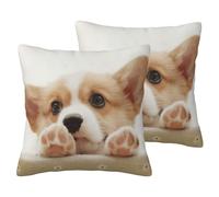 EdWal Cute Corgi Print Couch Throw Pillow Covers, Set Of 2, Decorative Pillow Covers, Cushion Case, For Sofa Bed