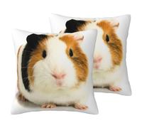 EdWal Cute Guinea Pig Print Couch Throw Pillow Covers, Set Of 2, Decorative Pillow Covers, Cushion Case, For Sofa Bed