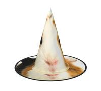EdWal Cute Guinea Pig Print Halloween Witch Hat Costume Accessory Women Hats For Halloween Party Cosplay For Home, Yard,