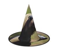 EdWal Cute Honey Badger Print Halloween Witch Hat Costume Accessory Women Hats For Halloween Party Cosplay For Home, Yard,