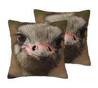 EdWal Cute Ostrich Print Couch Throw Pillow Covers, Set Of 2, Decorative Pillow Covers, Cushion Case, For Sofa Bed