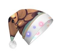 EdWal Cute Otter Print Led Christmas Beanie Light Up Christmas Hats, Knit Hats With Led Lights, Unisex Winter Santa Hat