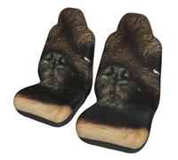 EdWal Cute Pekingese Print Front Seat Covers, Easy To Install Two Car Seat Protector Cover Set Accessories Auto Trucks Suv