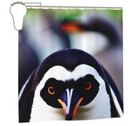 EdWal Cute Penguin Head Print Polyester Shower Curtain For Bathroom With Hooks 185cm Long, Waterproof Bath Accessories