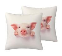 EdWal Cute Pig Print Couch Throw Pillow Covers, Set Of 2, Decorative Pillow Covers, Cushion Case, For Sofa Bed