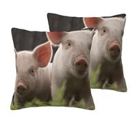 EdWal Cute Pig Print Couch Throw Pillow Covers, Set Of 2, Decorative Pillow Covers, Cushion Case, For Sofa Bed