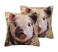 EdWal Cute Pig Print Couch Throw Pillow Covers, Set Of 2, Decorative Pillow Covers, Cushion Case, For Sofa Bed