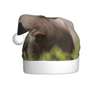 EdWal Cute Pig Print Plush Santa Hat, Christmas Hats For Adults, Cozy Holiday Headwear, For Christmas Parties